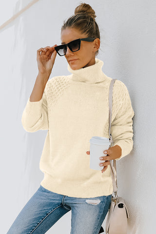 High Neck Knit Long Sleeve Sweater in Beige